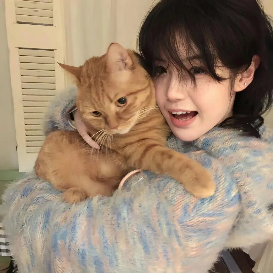 猪猪侠大电影·恐龙日记